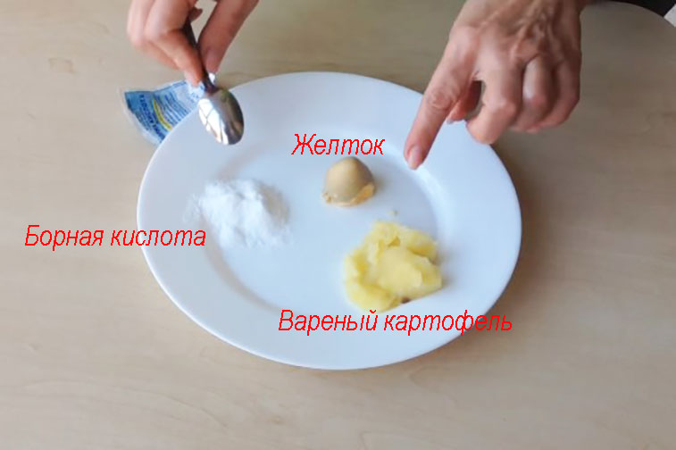 Как сделать яйца с борной кислотой от тараканов Как сделать яйца с борной кислотой от тараканов
