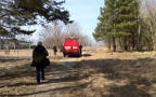 Жителей Таллина навестил медведь