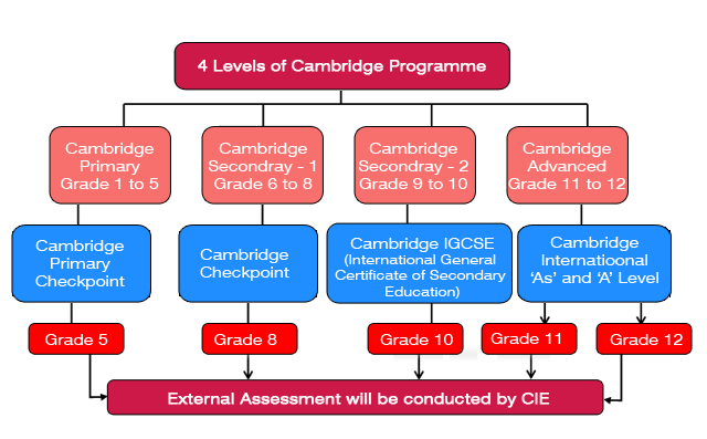 buy igcse primary checkpoint past papers