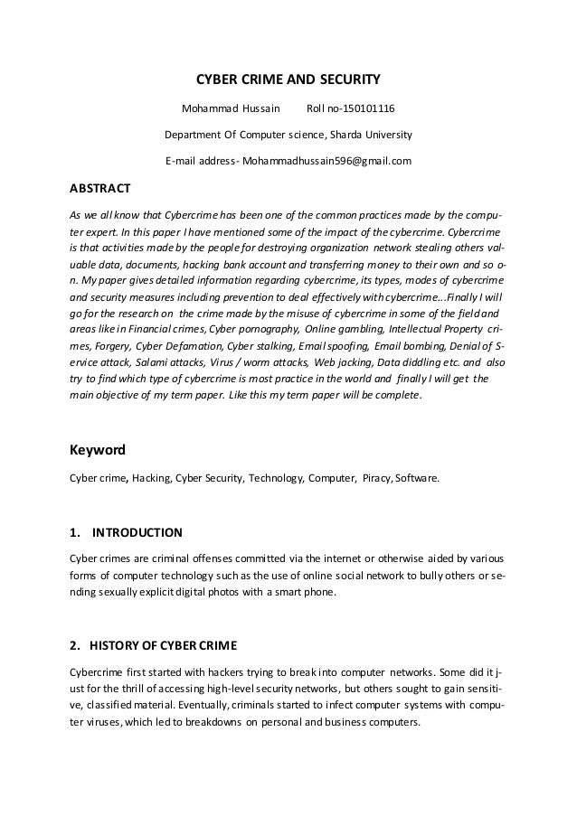 internet security essay
