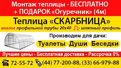 купальники argento купить