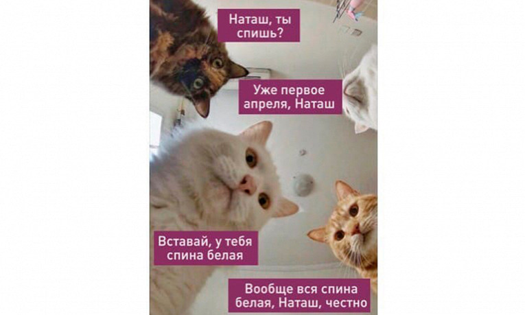 1 апреля: самые смешные мемы на день смеха