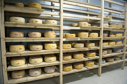 Назван самый популярный сыр у россиян