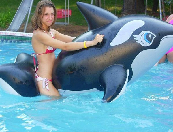 Free hardcore anal movies Vintage summer toy catalogs