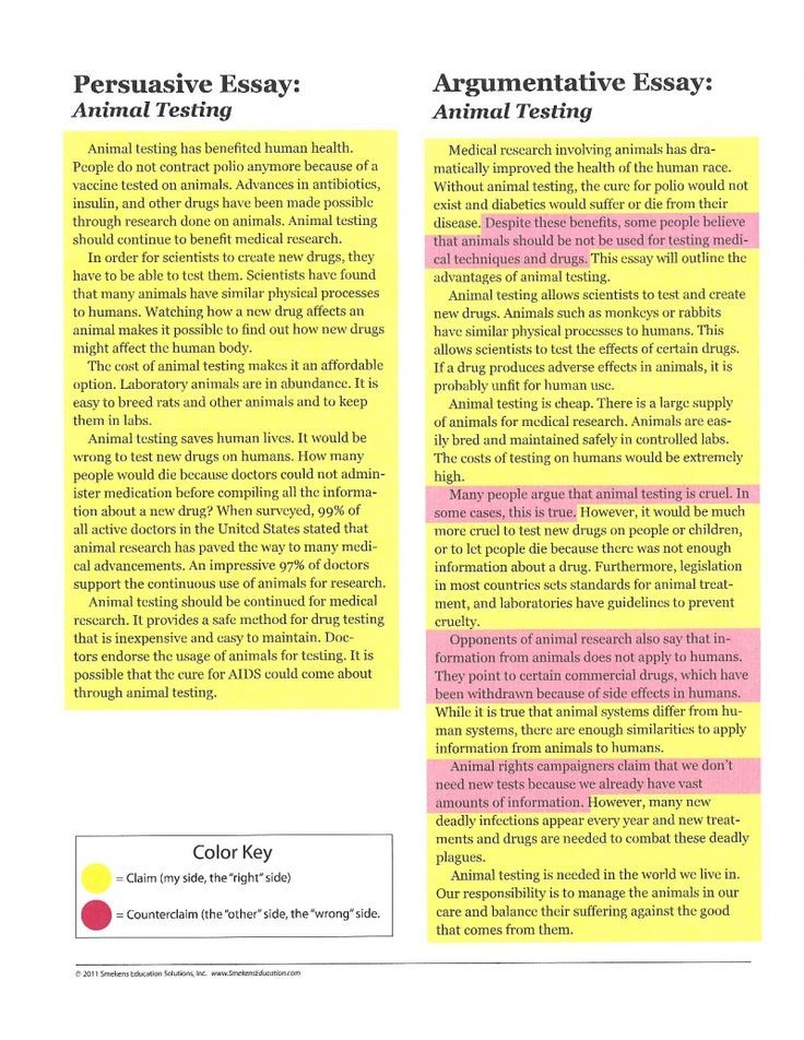 College Confidential Sat Essay Process Essay Example Paper also How To Write A Proposal Essay Paper Argumentative Essay Example For High School Andone What Is Essay In Literature