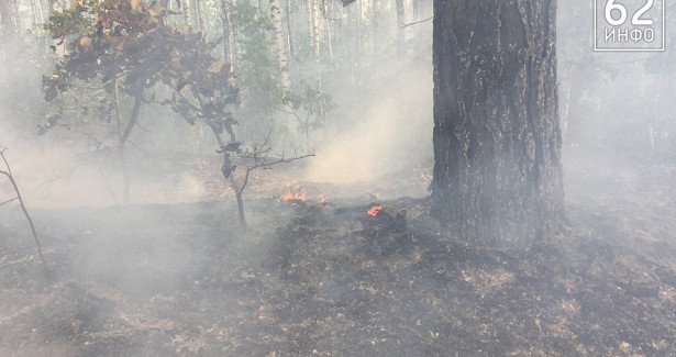В Рязанской области могут внедрить систему прогнозирования лесных пожаров