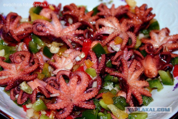 Салат с осьминогами фото