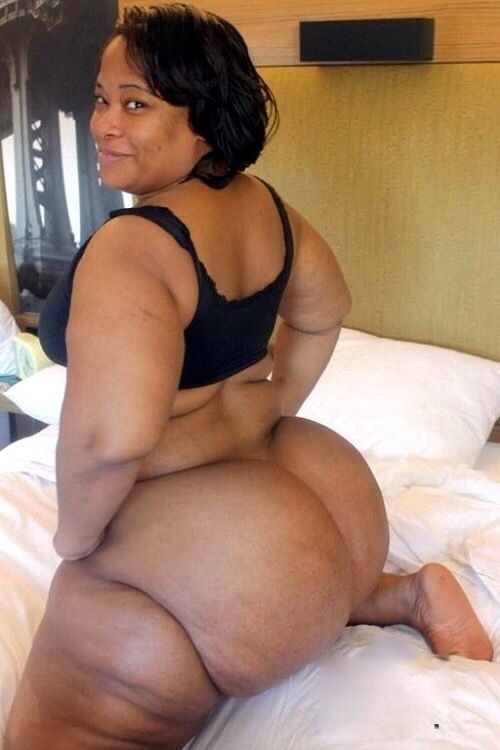 Busty Big Black Ass - Chubby black matures â€“ chubby sex videos - Mature Tube