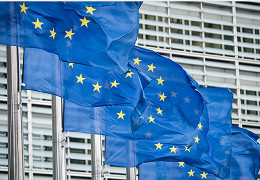 Евросоюз готовится обсудить вакцинные паспорта