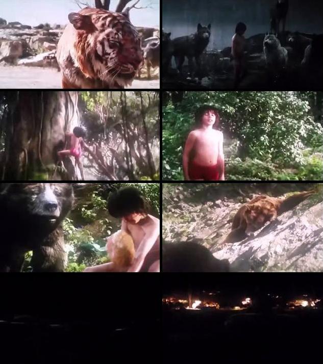 The Jungle Book In Hindi Free Download 2016