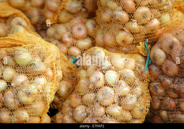 6zx6cxigcq7tjtue Onion City 2 | onion city 2 bing images 6zx6cxigcq7tjtue Onion City 2 | onion city 2 bing images
