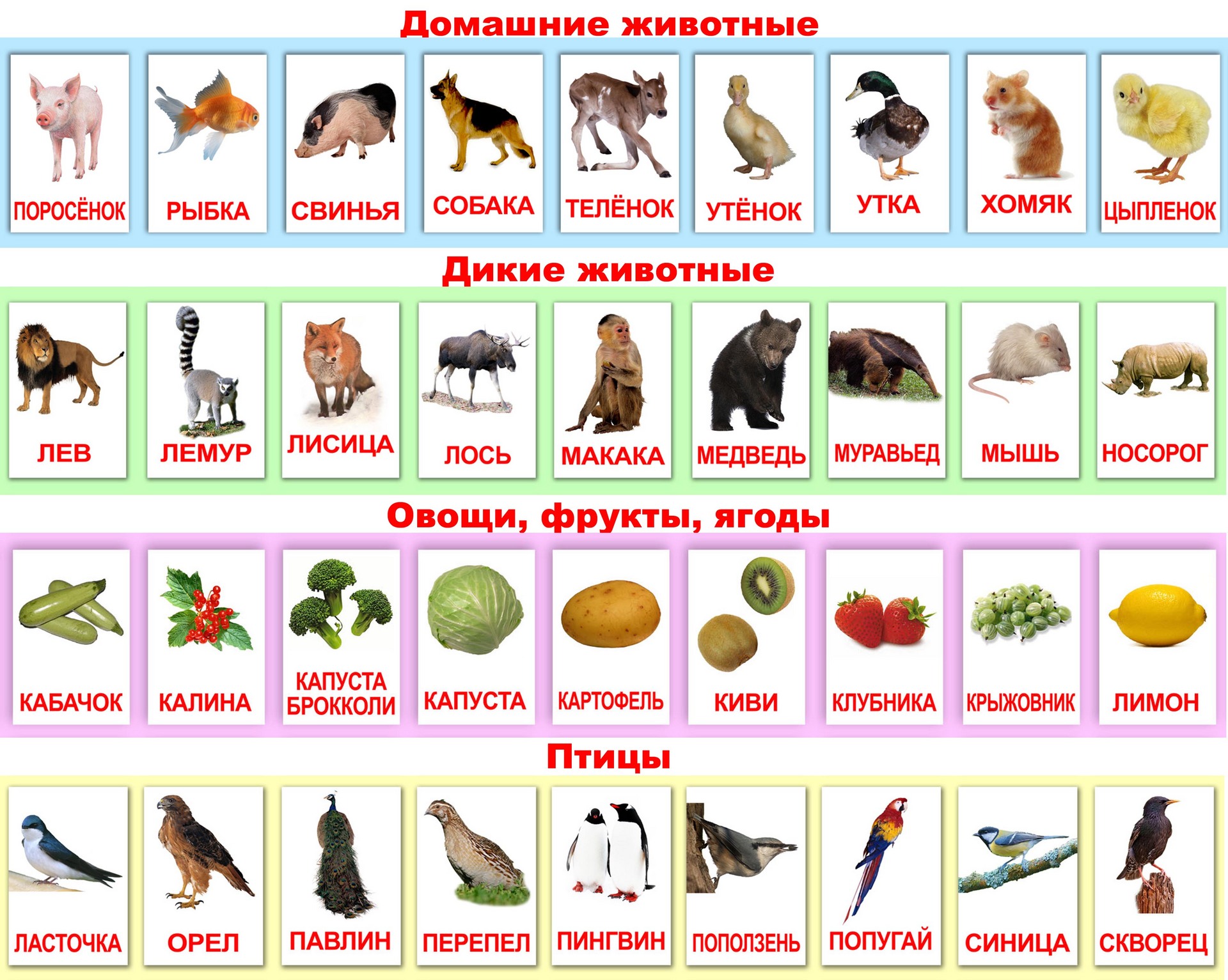 воронеж работа швея детей и взрослый джинсы