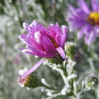 Фото Дина Обухович