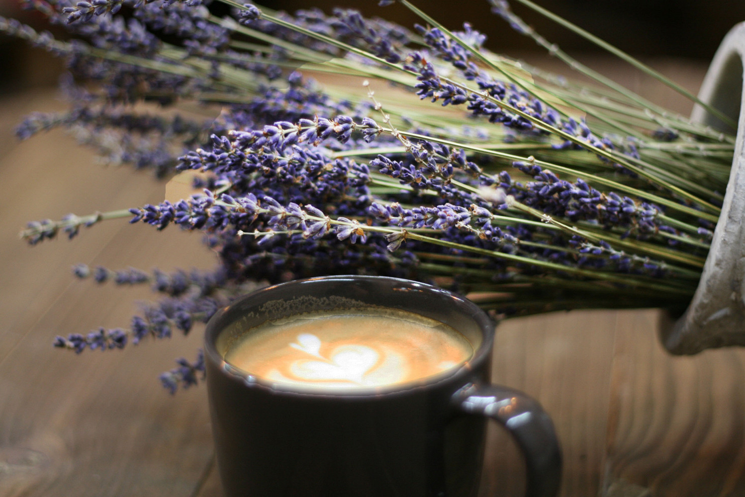 Фото ресторана от Афиши — Coffee Berry