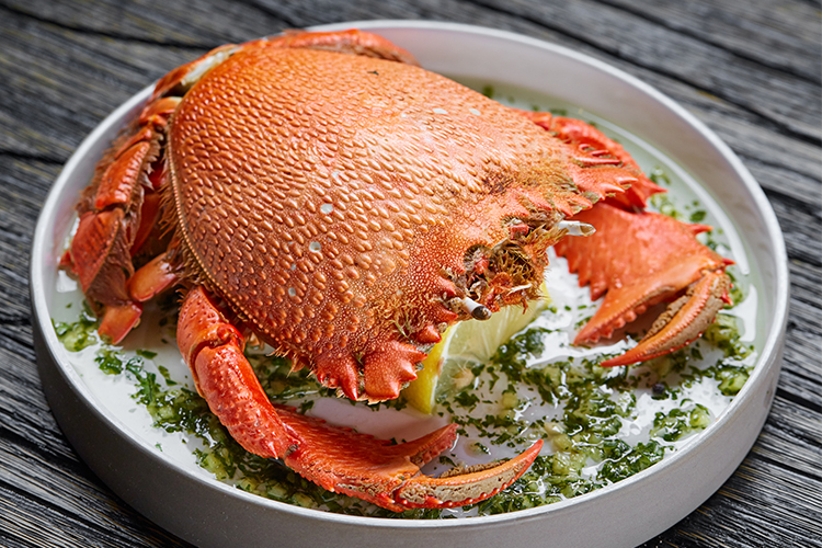 Onlayn porno filmlar tomosha qilish