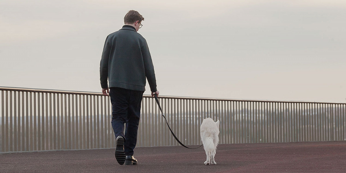 «Зависаем в телефоне, когда пес хочет движухи»: чего не стоит делать на прогулке с собакой