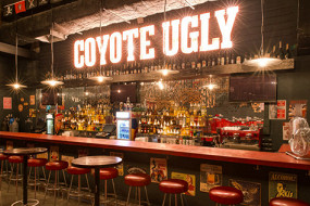 Гадкий койот