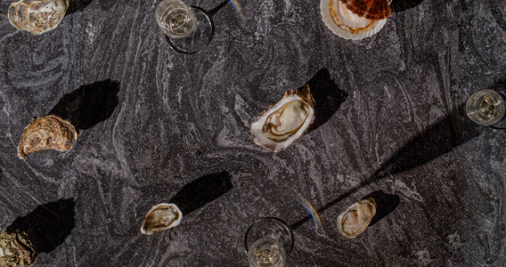 Lure Oysterbar