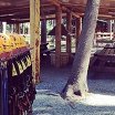 Логотип - Место Веревочный парк «Ранчо»