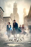 Фантастические твари и где они обитают / Fantastic Beasts and Where to Find Them