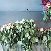 Во Имя Розы Магазин Цветов Официальный Сайт