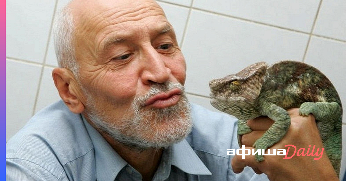 Природа с дроздовым. Природа с дроздовым