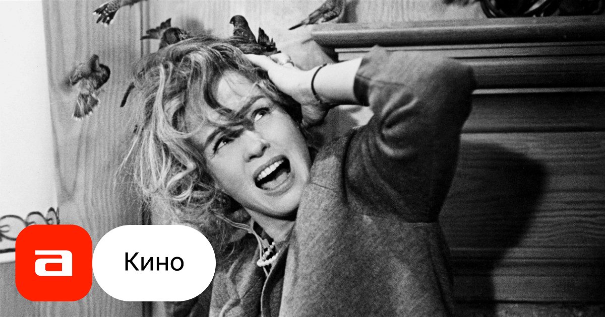 Кадры из фильма птицы