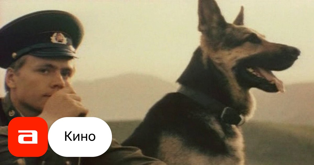 Фильм Пограничный пес Алый (СССР, Россия, 1979) смотреть онлайн – Афиша ...