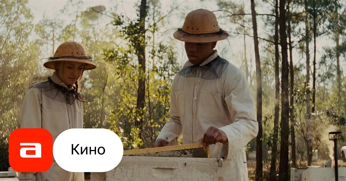 Фильм Тайная жизнь пчел (США, 2008) – Афиша-Кино