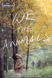 Мы, животные / We the Animals