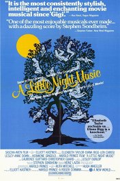 Маленькая серенада / A Little Night Music