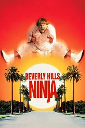Ниндзя из Беверли-Хиллз / Beverly Hills Ninja