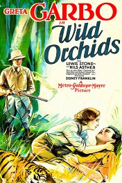 Дикие орхидеи / Wild Orchids