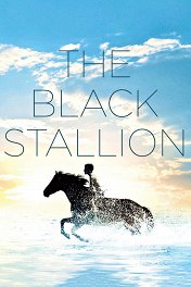 Черный конь / The Black Stallion