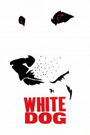 Белая собака / White Dog