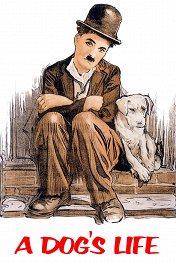 Собачья жизнь / A Dog's Life