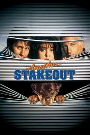 Еще одна слежка / Another Stakeout