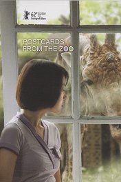 Открытки из зоопарка / Kebun binatang