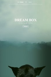 Где исполняются мечты / Dream Box