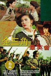 Миссия справедливости / Jin san jiao qun ying hui