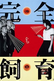 Идеальное воспитание / Kanzen-naru shiiku