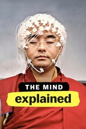 Чтобы вы поняли... ум / The Mind, Explained