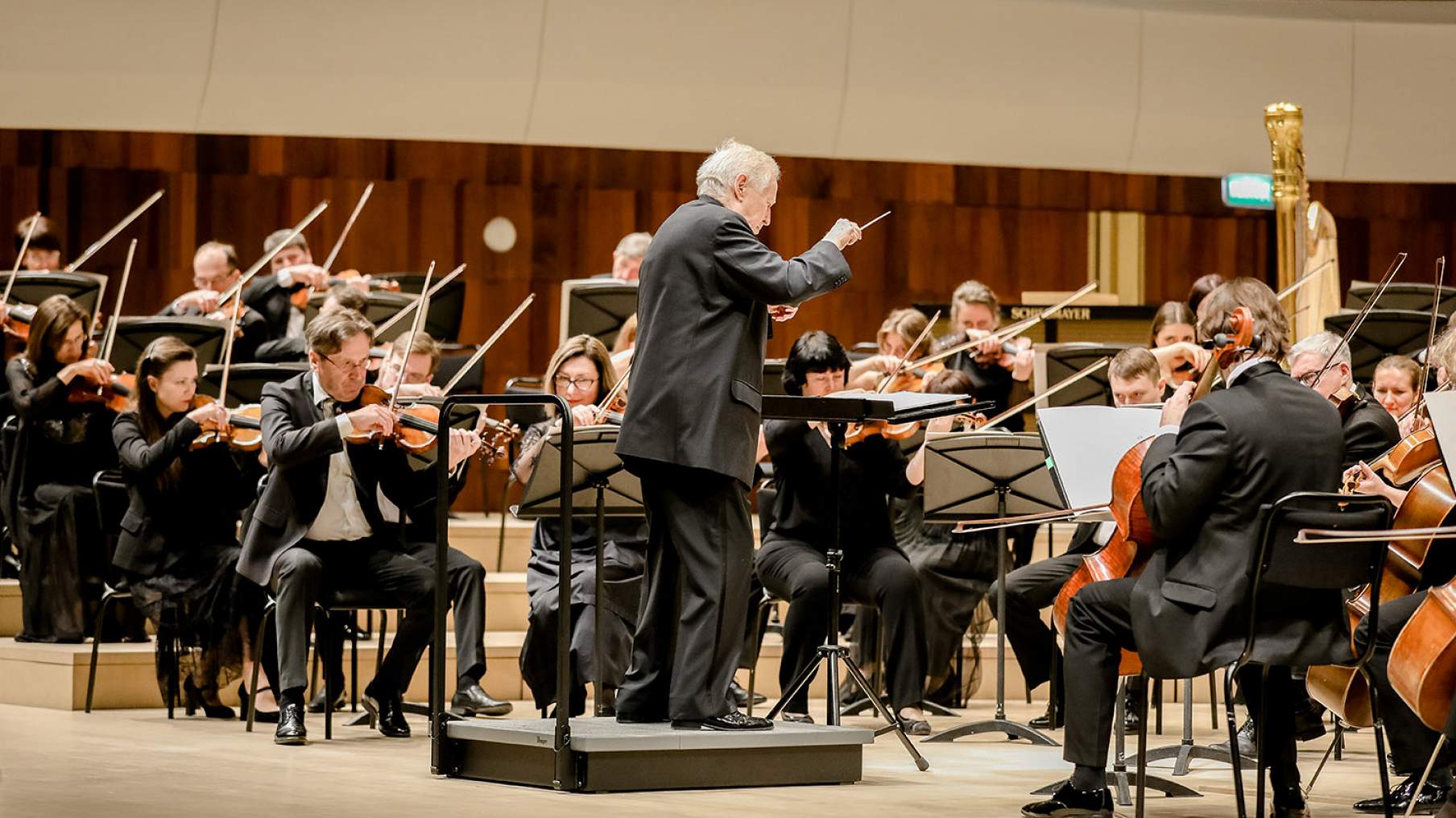 «ГаврилинЧехов. «Анна на шее», «Дама с собачкой», концерт