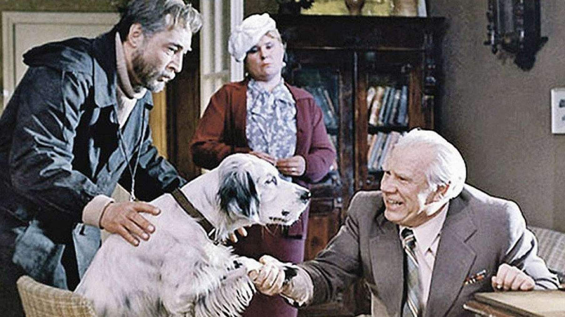 Фильм Белый Бим Черное ухо (СССР, 1977) смотреть онлайн