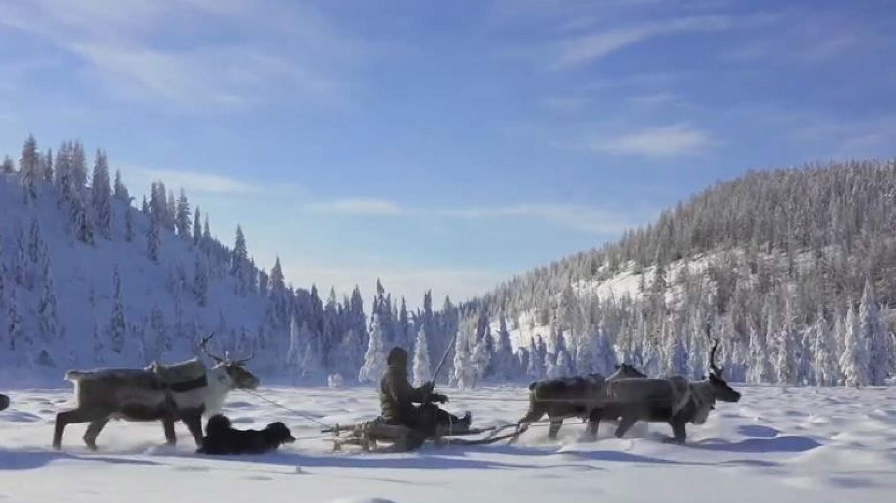 фильм по дороге на север. фильм великий северный путь кадры. великий северный путь фильм. северный путь видео. леонид круглов великий северный путь.