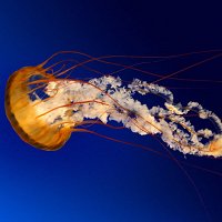 Фото Дарья Исаева