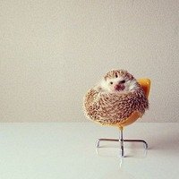8 новых свиданий актеры смотреть. Смотреть фото 8 новых свиданий актеры смотреть. Смотреть картинку 8 новых свиданий актеры смотреть. Картинка про 8 новых свиданий актеры смотреть. Фото 8 новых свиданий актеры смотреть