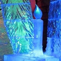 Фото Светлана Зуева