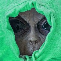 какой кинотеатр в меге. Смотреть фото какой кинотеатр в меге. Смотреть картинку какой кинотеатр в меге. Картинка про какой кинотеатр в меге. Фото какой кинотеатр в меге