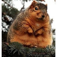 Фото Маша Дмитриева